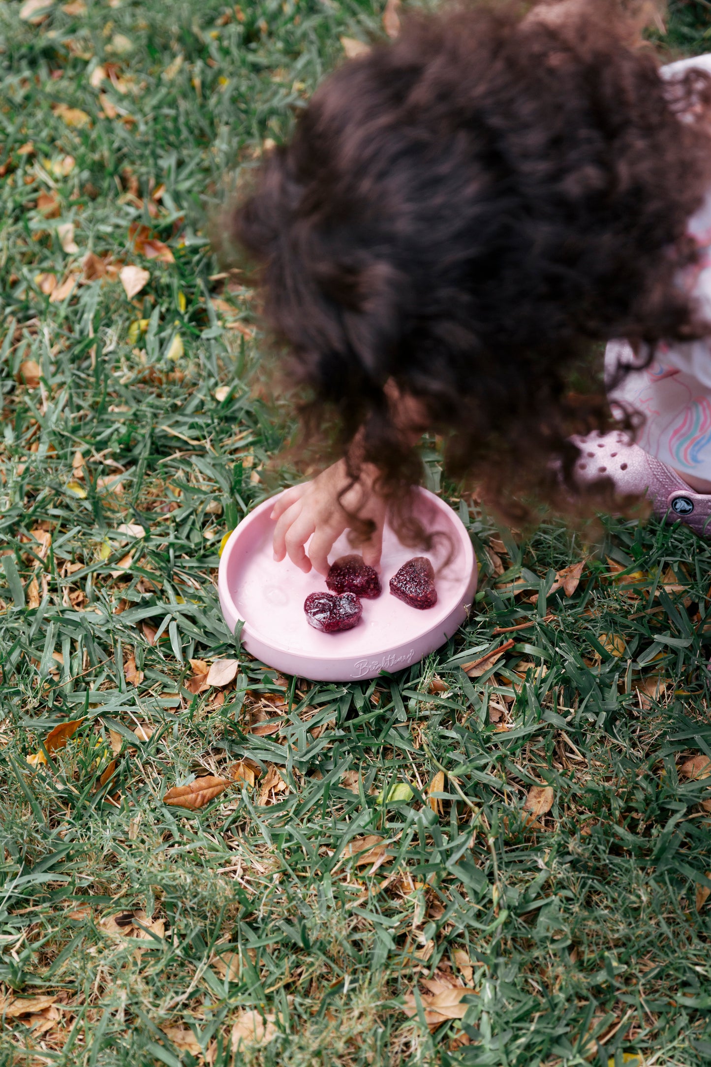 Berrylicious Gummies