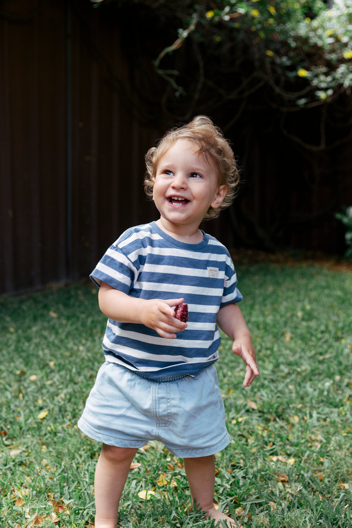 Berrylicious Gummies